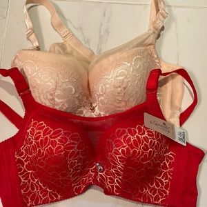 TWO 36DD NEW BRAS